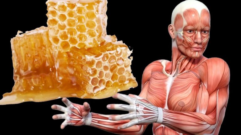 Cette méthode simple transforme votre énergie et votre santé grâce au miel…