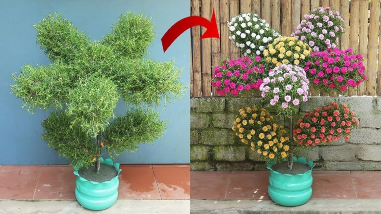 Cette astuce incroyable transforme des bouteilles en plastique en un jardin coloré…