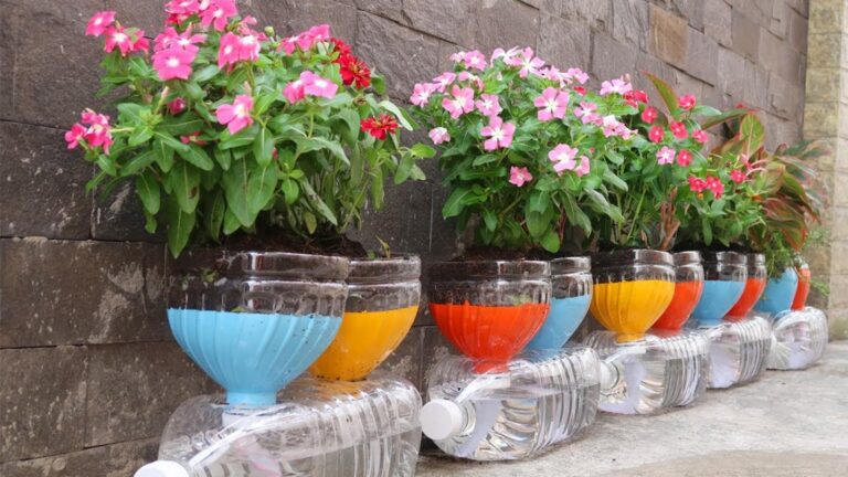 Transformez vos vieilles bouteilles en pots à fleurs extraordinaires grâce à cette astuce