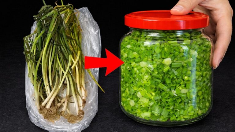 Cette astuce simple va transformer vos oignons verts en alliés durables…