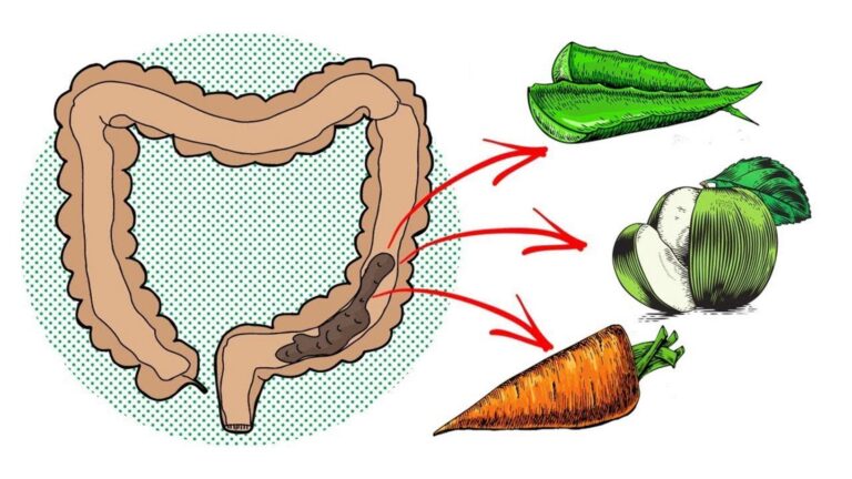 Une vieille astuce pour nettoyer naturellement votre colon et retrouver énergie et