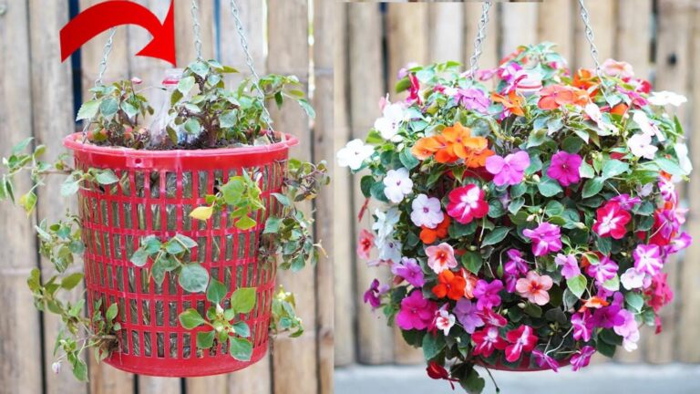Cette méthode transforme vos déchets en un jardin d&rsquo;arrosage automatique…
