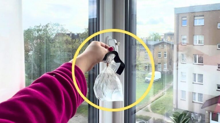 Une idée toute simple pour chasser les mouches de votre cuisine à jamais…