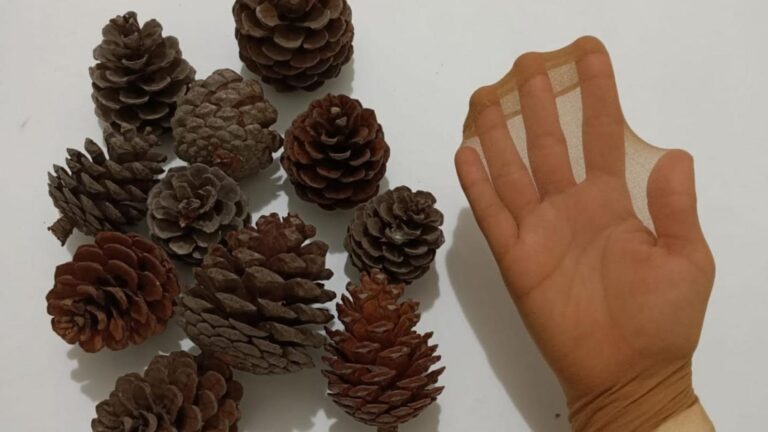 Une idée toute simple pour transformer des cônes de pin en décorations étonnantes…