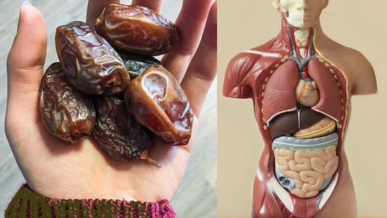 Cette astuce incroyable pourrait transformer votre santé en 7 jours…