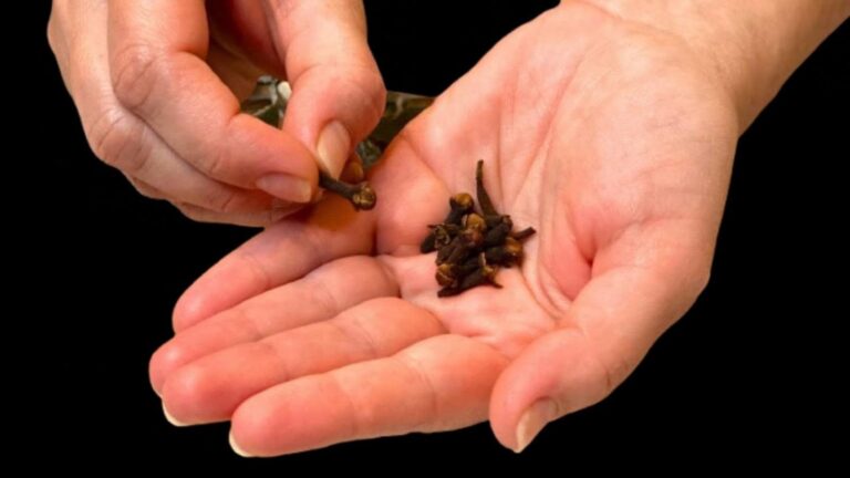 Cette méthode étonnante purifie vos poumons en trois jours…