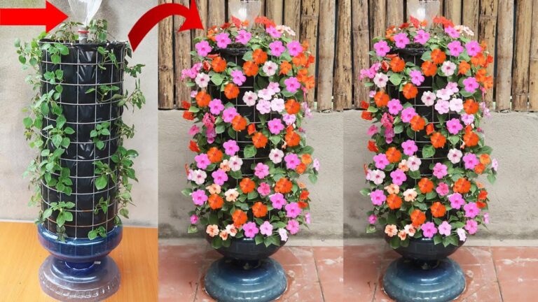 Cette astuce simple transforme votre jardin avec des fleurs de jade éblouissantes…
