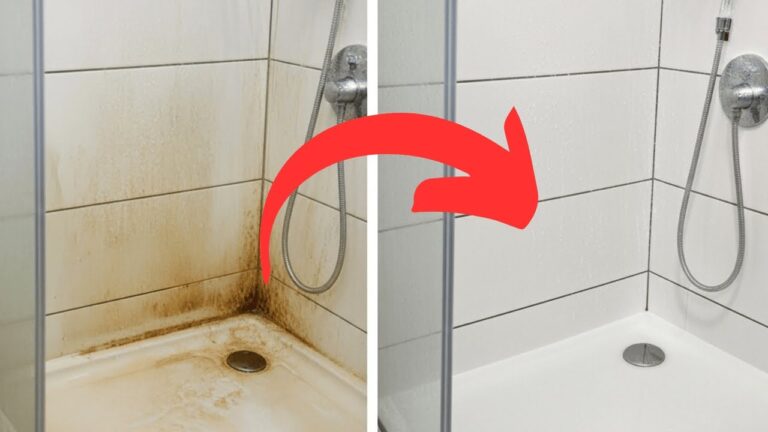 Découvrez 5 astuces simples pour un vitrage de douche impeccable sans frottement !