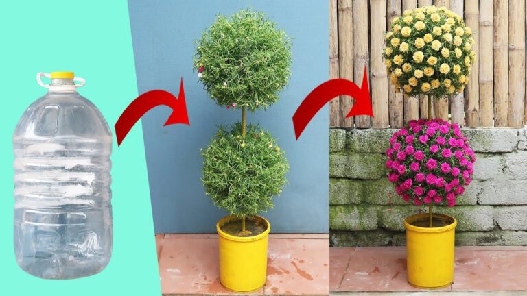 Transformez 5 bouteilles plastic en un jardin vertical créatif à la maison !