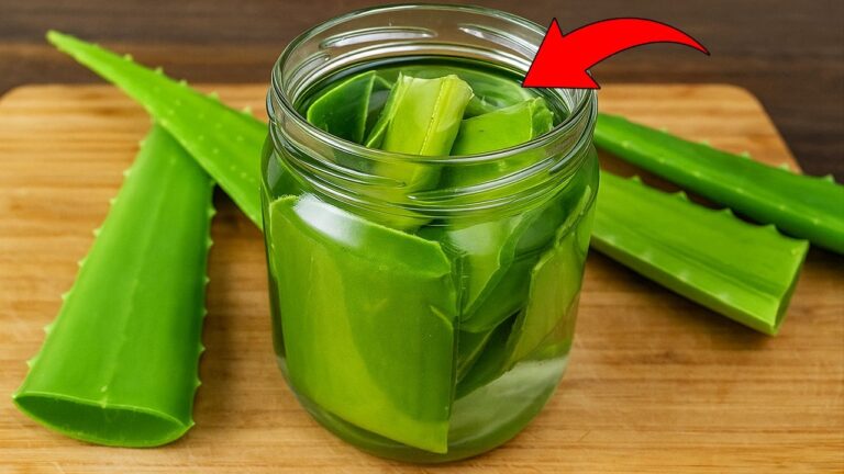 Découvrez 5 astuces pour paraître 30 ans plus jeune avec collagène et aloe vera !
