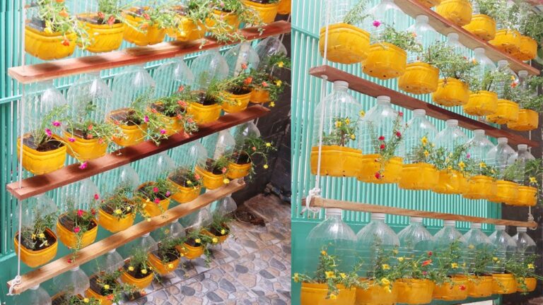 Transformez 5 bouteilles en plastique en super pots suspendus pour votre jardin !