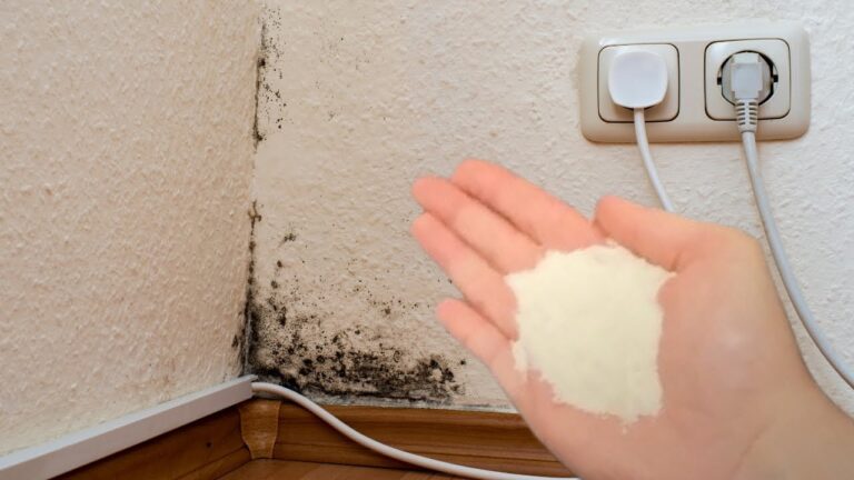 Éliminez 5 types de moisissures en quelques minutes avec ce spray miracle !