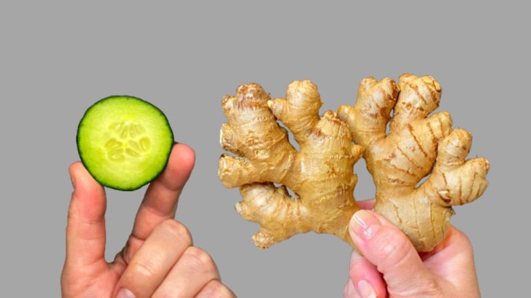 5 astuces pour nettoyer le foie et renforcer vos vaisseaux sanguins naturellement
