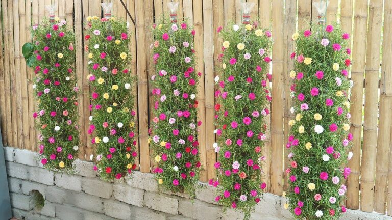 Créez votre jardin vertical : 5 astuces pour cultiver le Portulaca dans les petits espaces !