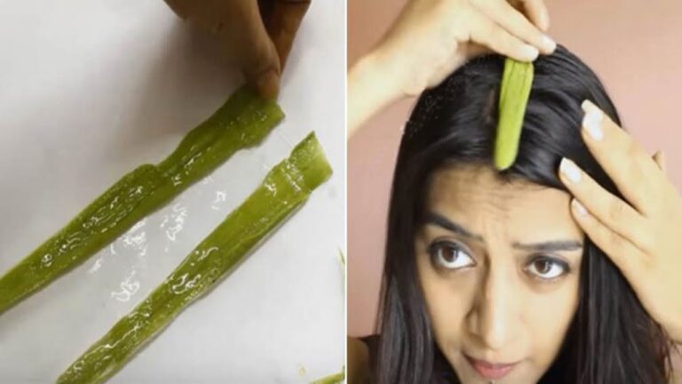 Transformez vos cheveux en 7 jours : le pouvoir de l&rsquo;Aloe vera révélé !