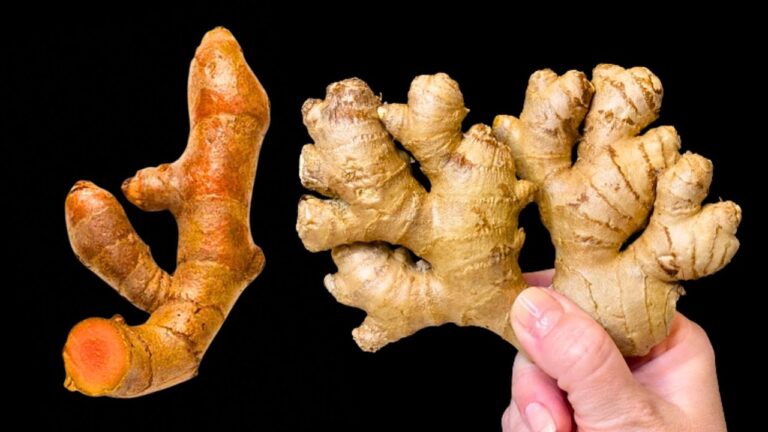 35 ans sans maladie : découvrez mes secrets pour une santé éclatante et une vie sereine !