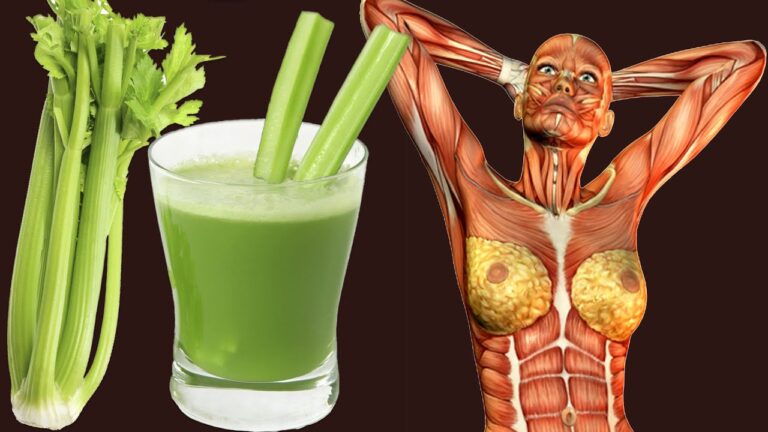 5 bienfaits de boire du jus de céleri chaque matin pour votre santé !