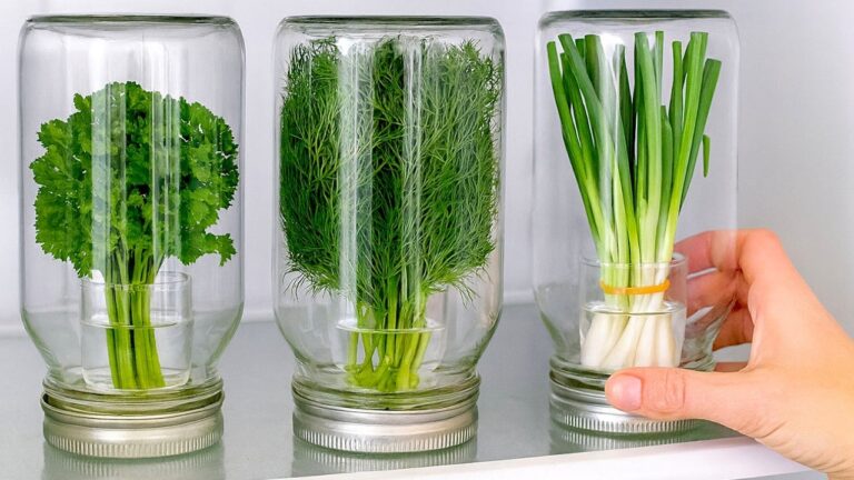 Préservez vos herbes : 5 astuces pour des oignons verts et du persil frais pendant des mois