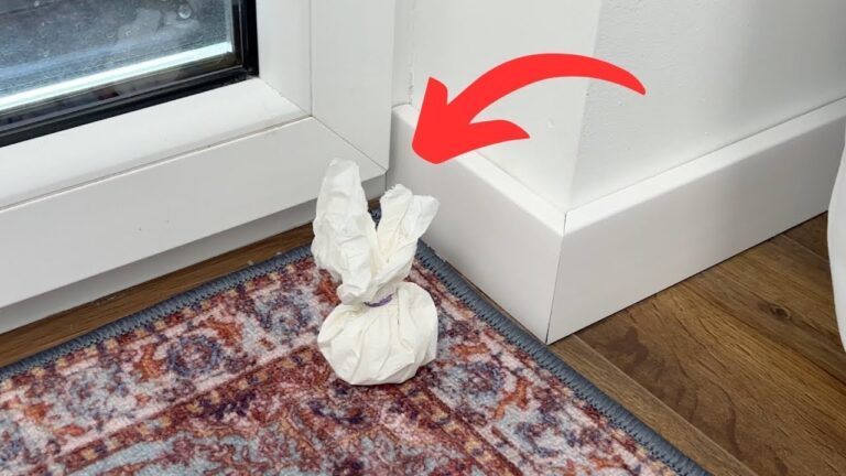 5 astuces surprenantes pour sublimer les coins de votre maison !