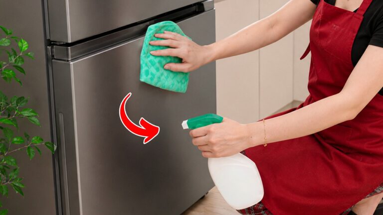 14 astuces incontournables pour nettoyer un frigo sale facilement !
