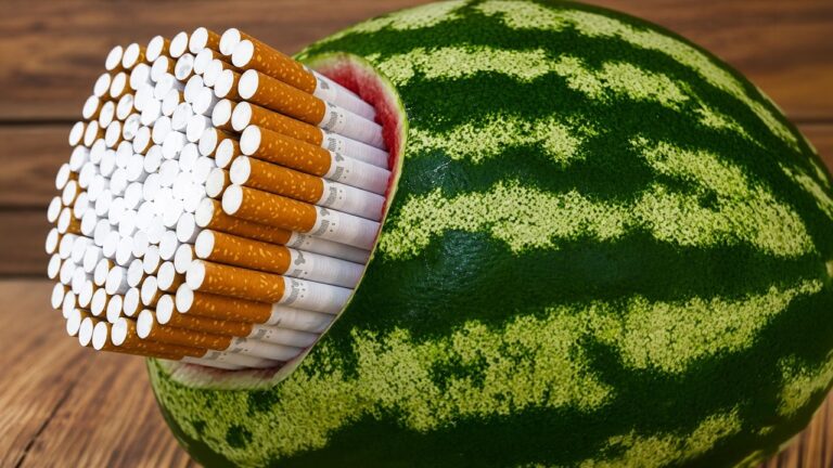 Remplissez une pastèque de cigarette : 5 étapes étonnantes à découvrir !