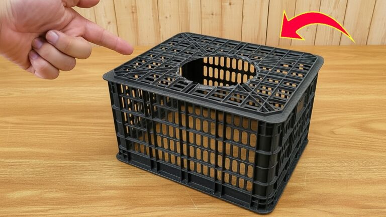 Réutilisez 5 contenants en plastique pour des idées déco surprenantes !