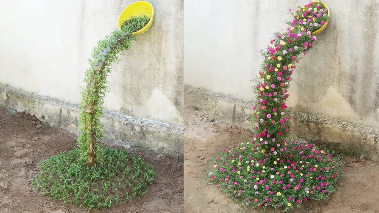 5 idées pour créer un jardin en cascade avec la belle Portulaca !