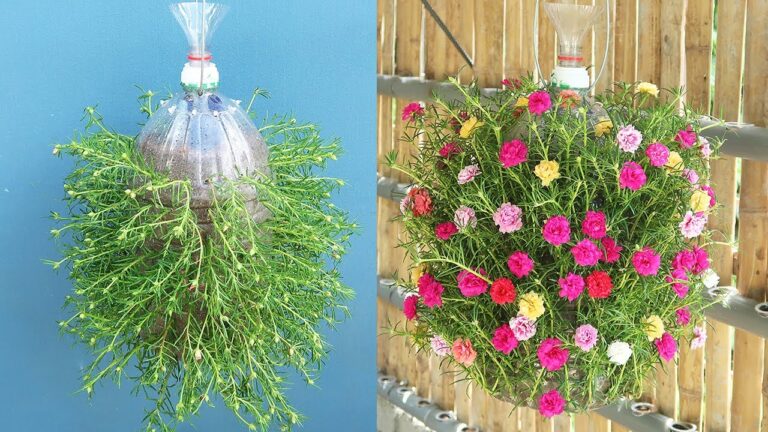 Transformez 5 bouteilles en plastique en un jardin suspendu automatique !