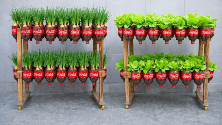 Jardin vertical DIY avec des bouteilles en plastique : cultivez de la laitue et des oignons verts chez vous facilement