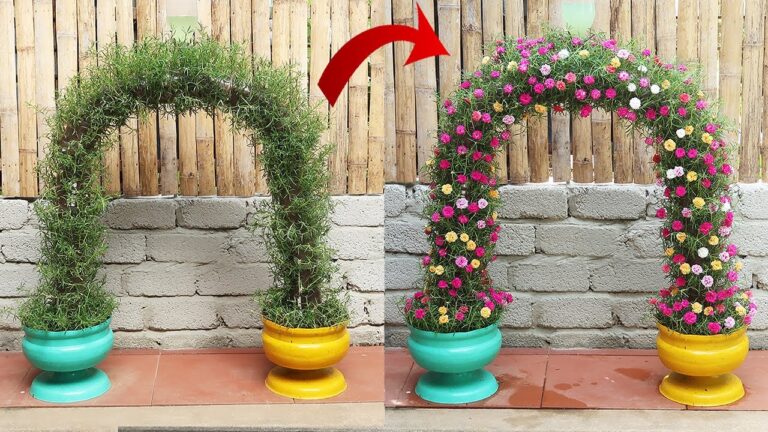 Des idées de portails fleuris écolo avec des bouteilles en plastique