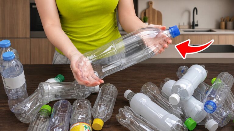 10 idées géniales pour recycler vos bouteilles en plastique et les transformer !
